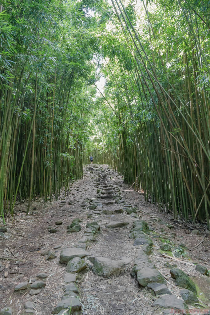 Back road to hana-6