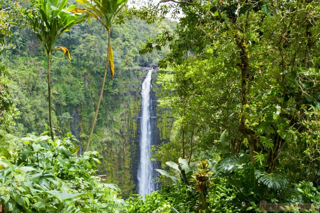 Akaka Falls