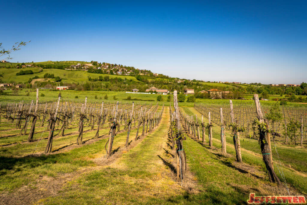 Balsamic of Modena Tour-00287