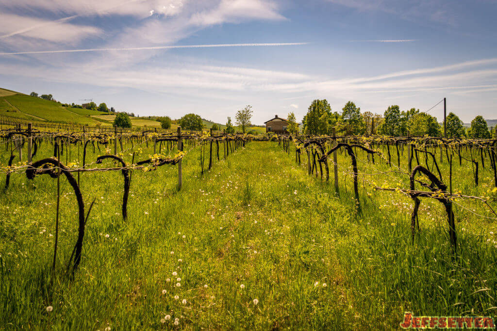 Modena Wine Tasting and Lunch-22