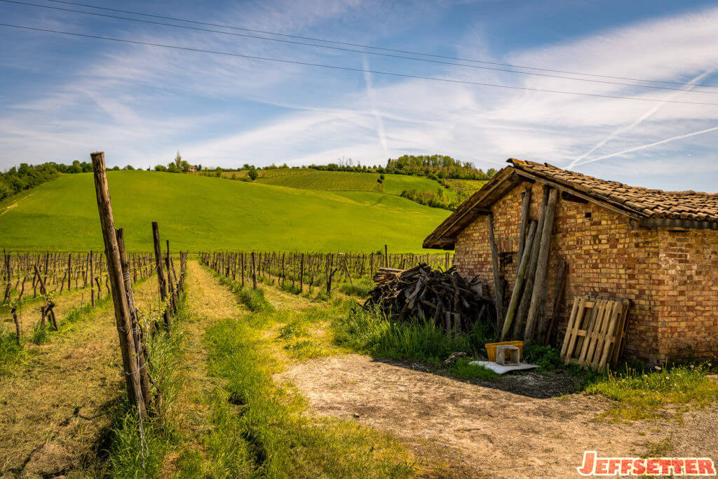 Modena Wine Tasting and Lunch-23