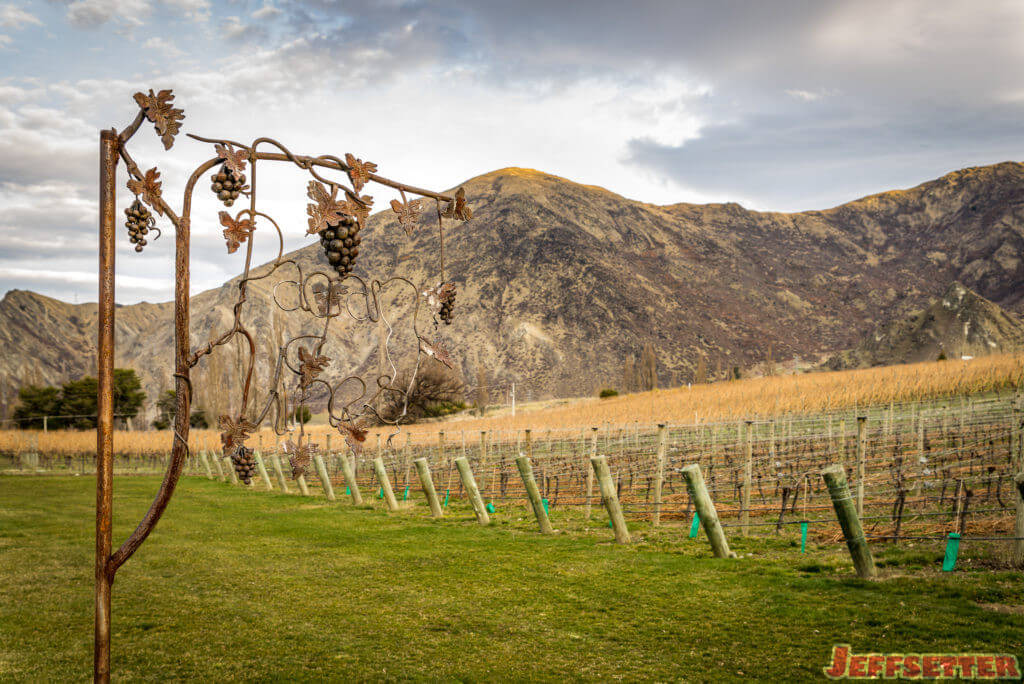 Pagan Vines Hotel Review-2165