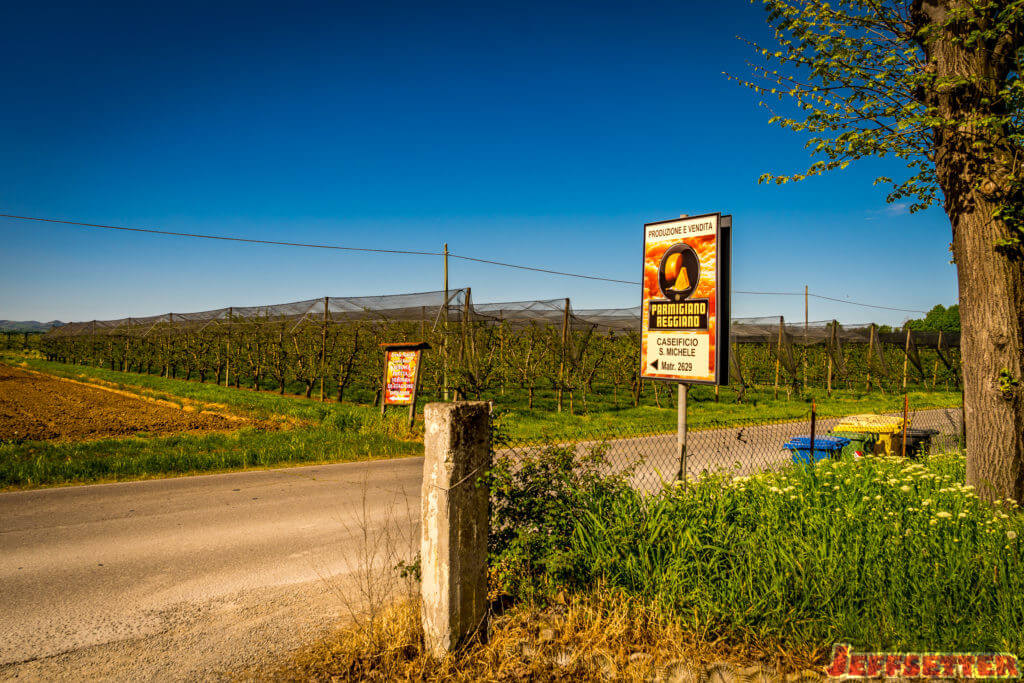 Parmigiano Reggiano Cheese Tour-00279