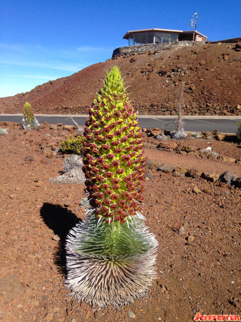 Haleakala National Park Restricting Tour Operations