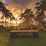 Turtle Bay