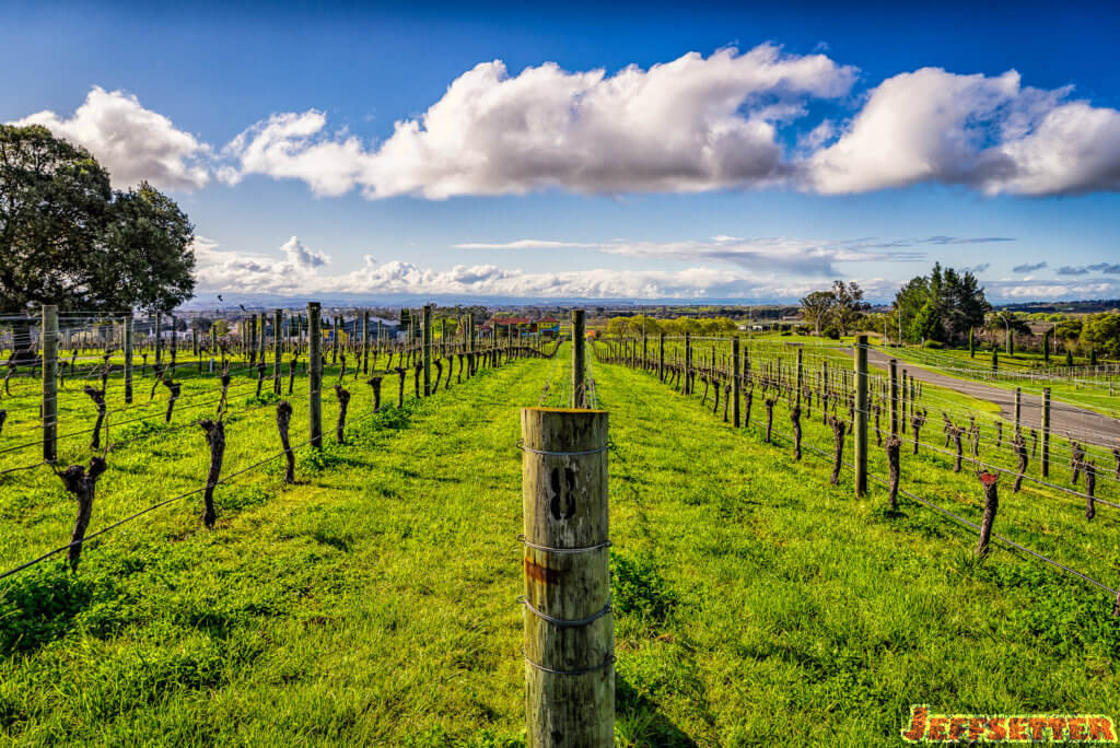 black-barn-vineyards-3
