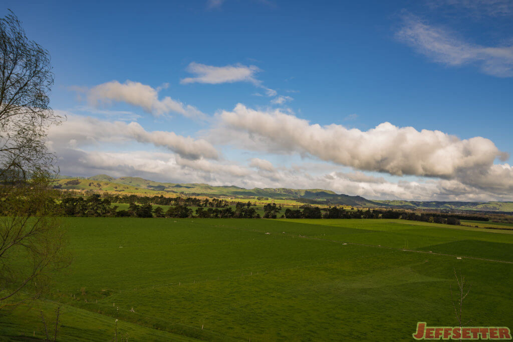 martinborough-107