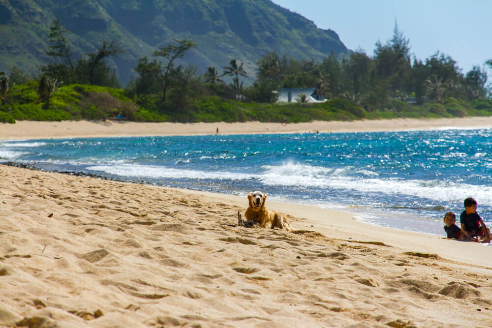 Hawaii King Tides