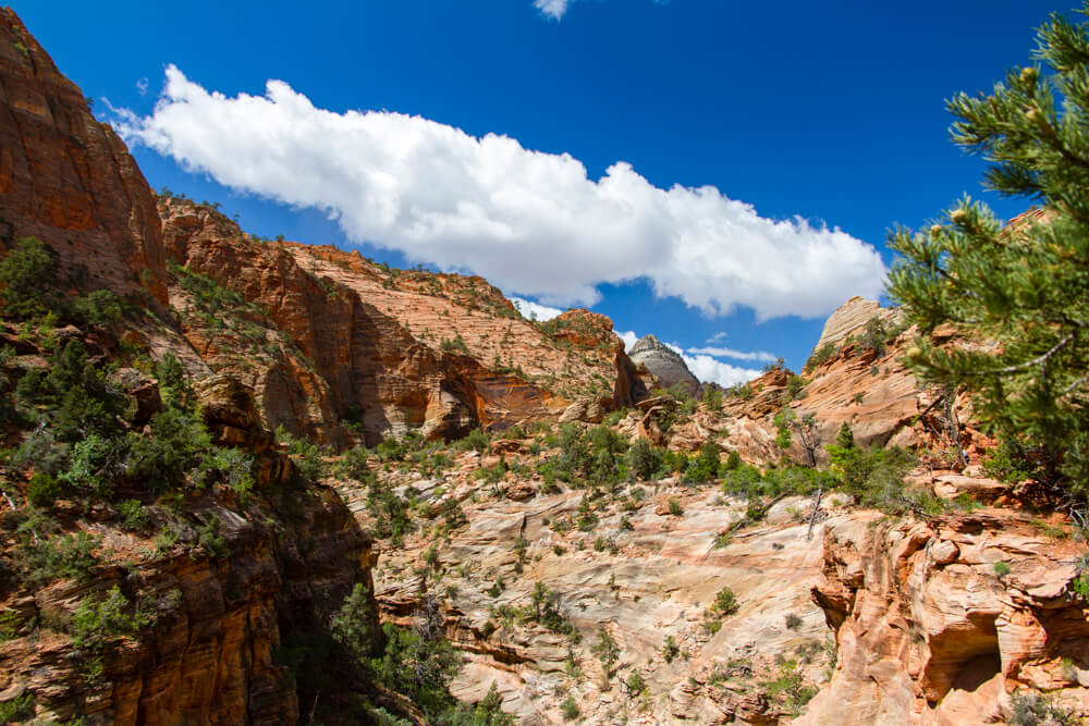 Zion National Park