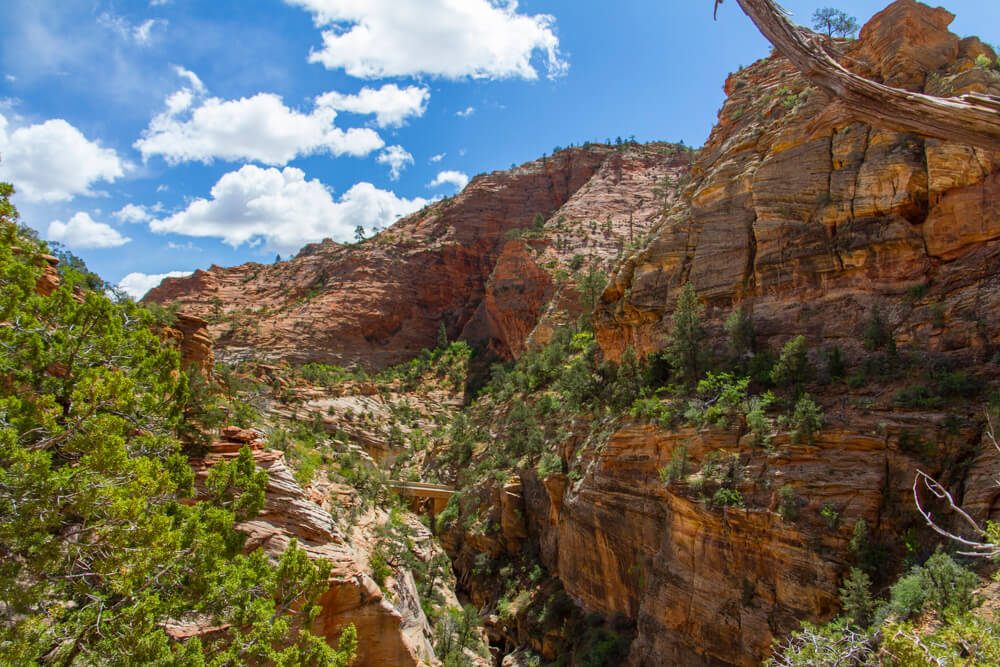 Zion National Park