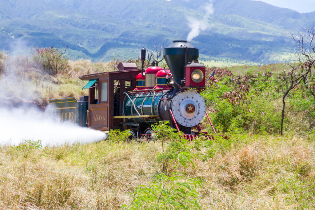 Maui Sugar Cane Train Holiday Express