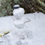 Snowy Seattle