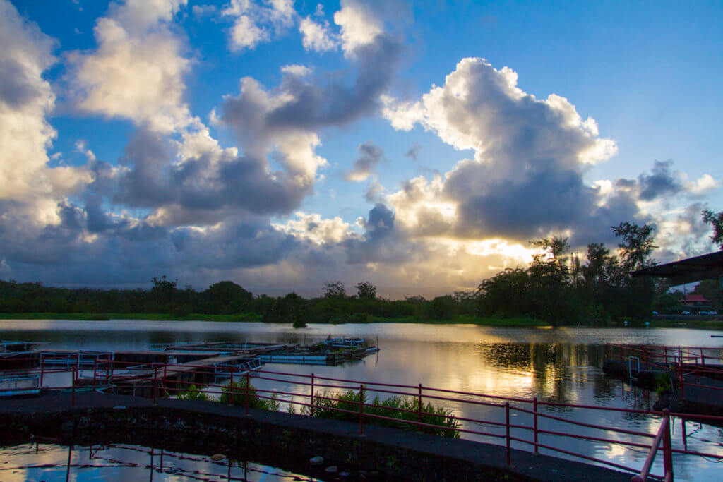 The Big Island is a Safe Place to Visit