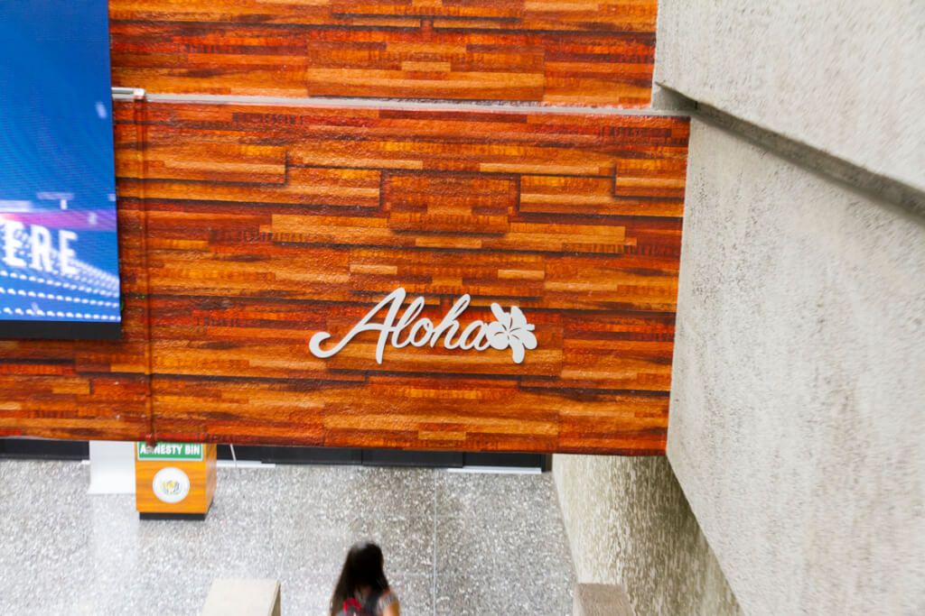 Pack a Pen When Traveling to Hawaii