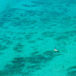 United Airlines is Waiving Fees for Surfboards