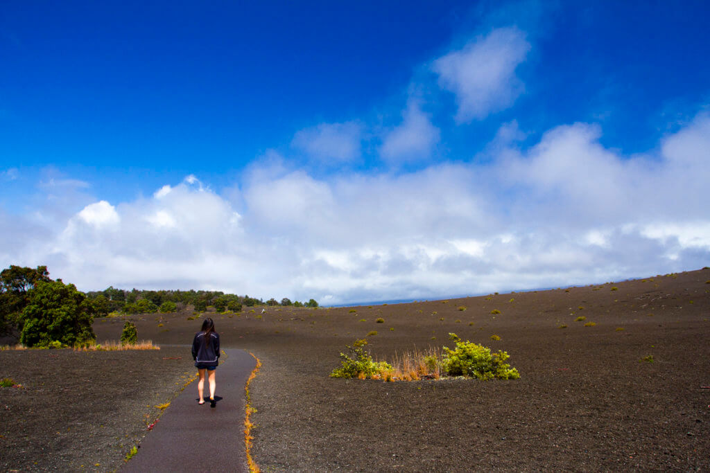 Partial Government Shutdown Effects in Hawaii