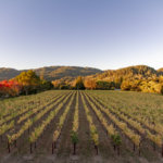 A Gourmet Adventure Through Northern California