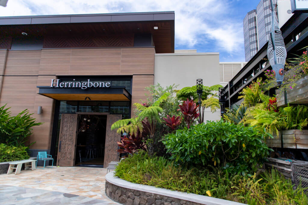 Herringbone Waikiki Brunch