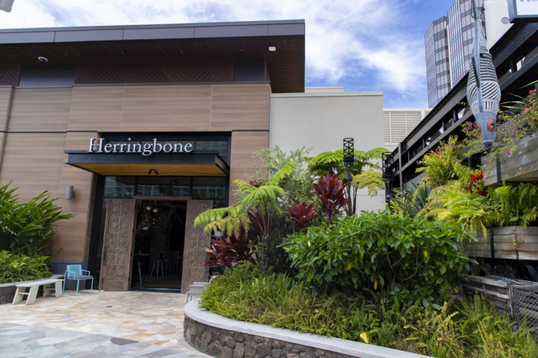 Review Herringbone Waikiki Brunch Jeffsetter Travel