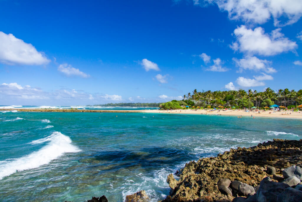 Turtle Bay to Begin Massive Renovation This Year