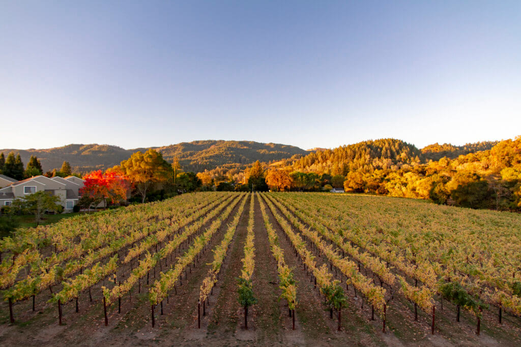 Las Alcobas Napa Valley