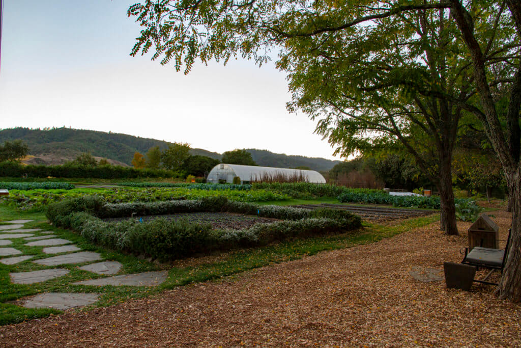 The French Laundry Experience