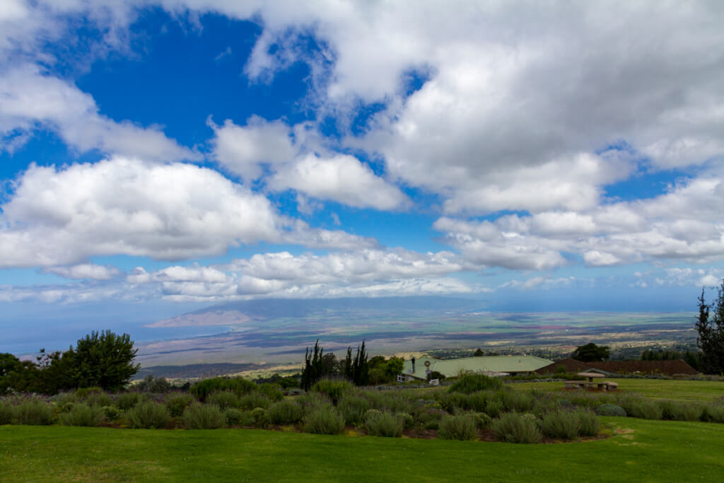 New Kahului Rent-A-Car Center Opens Today