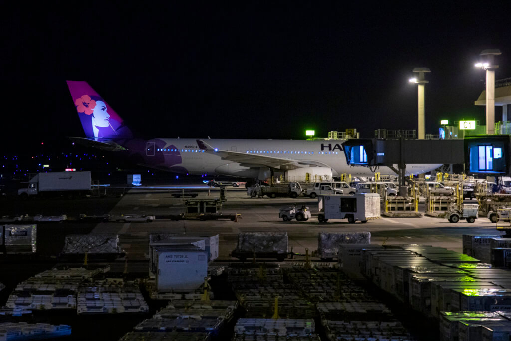 Hawaiian Extra Comfort Red Eye