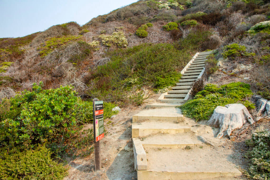 Hiking Down to Marshall's Beach