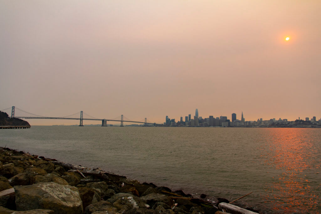 Visiting San Francisco's Treasure Island