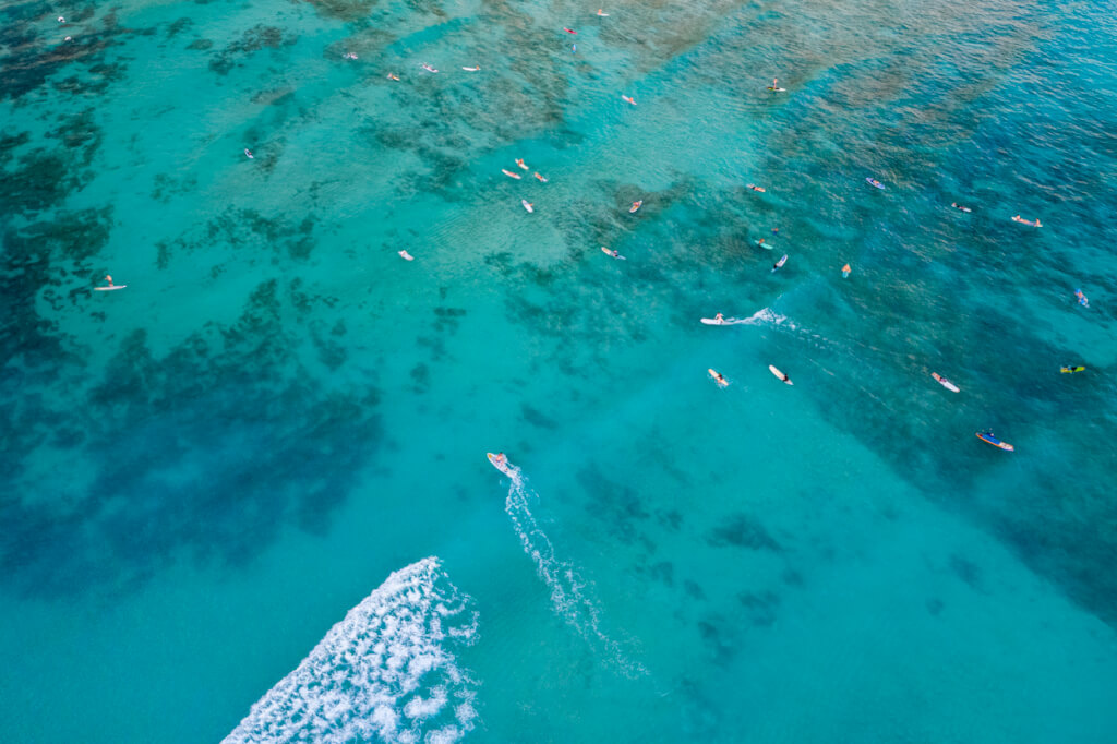 Surfboards On Southwest at Fred Marshall blog