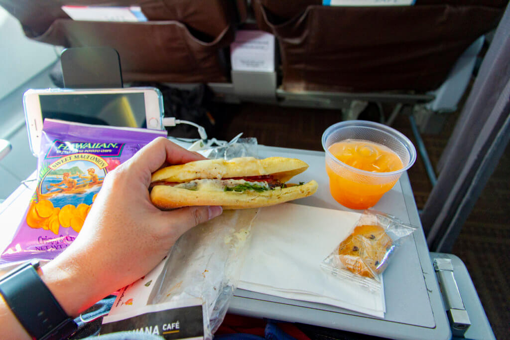 2019 In-Flight Food Nutrition Ratings