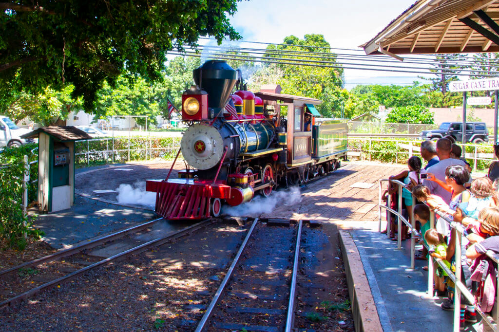 The Maui Sugar Cane Train is in Trouble Again