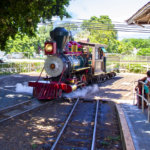 The Maui Sugar Cane Train is in Trouble Again