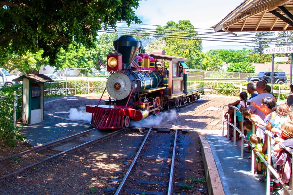 The Maui Sugar Cane Train is in Trouble Again