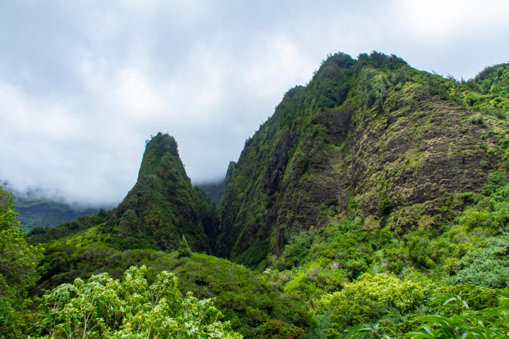 More Reasons to Not Come to Hawaii Right Now