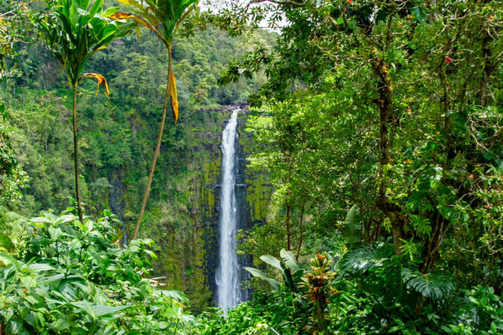 Mauna Loa No Longer Largest Shield Volcano