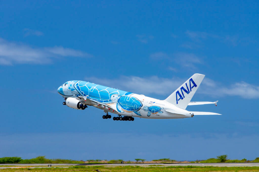 Delivery of the Final Flying Honu is Delayed