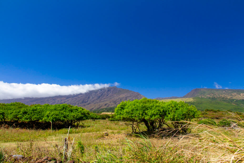 Active and Potentially Active Volcanoes of Hawai