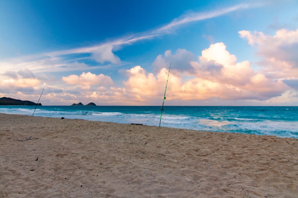 Honolulu Enters Tier 2