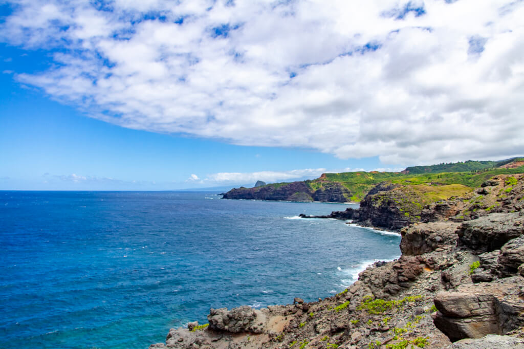 Maui Requires AlohaSafe Alert App