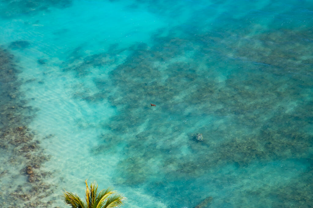 Sheraton Waikiki Oceanfront view