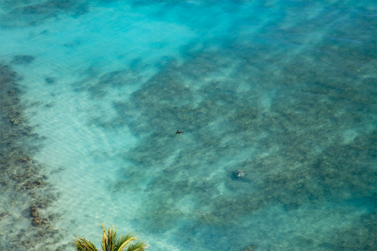 hanauma bay fee