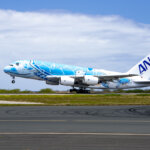 Flying Honus Temporarily Returned to Honolulu