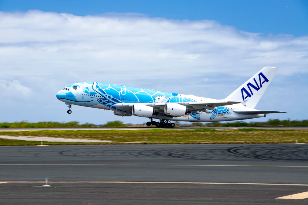 Flying Honus Temporarily Returned to Honolulu