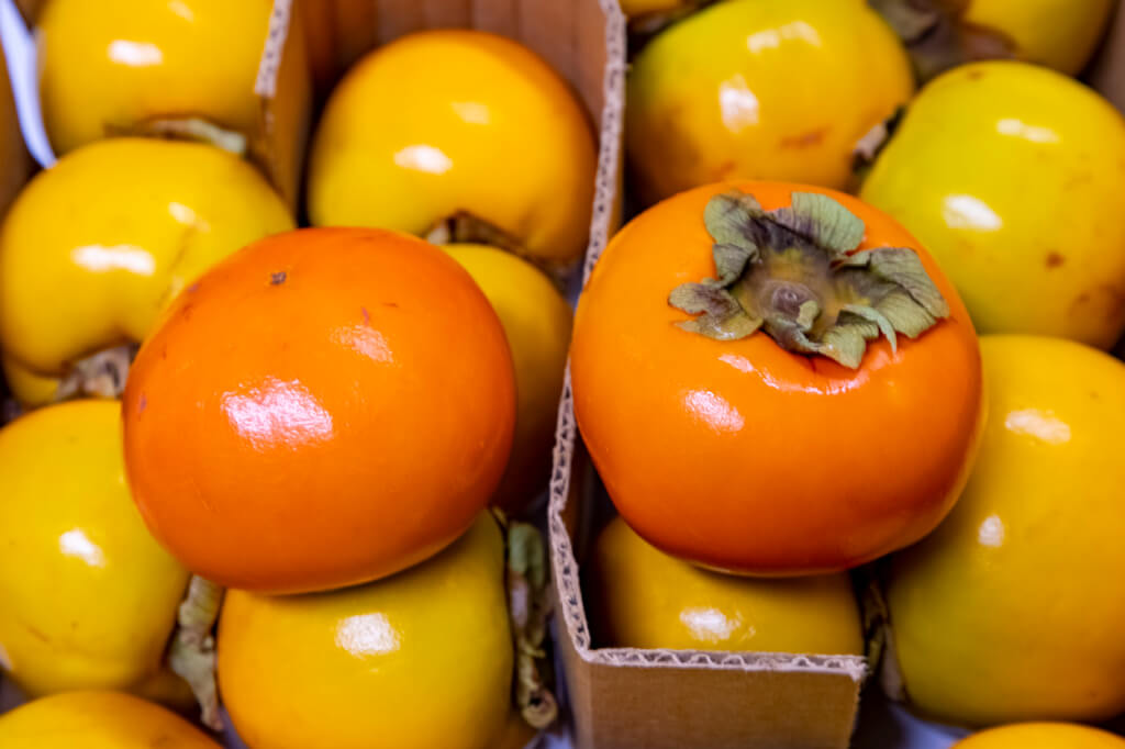 Transporting Fruit Within Hawaii