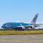 The Flying Honu Returns This Summer