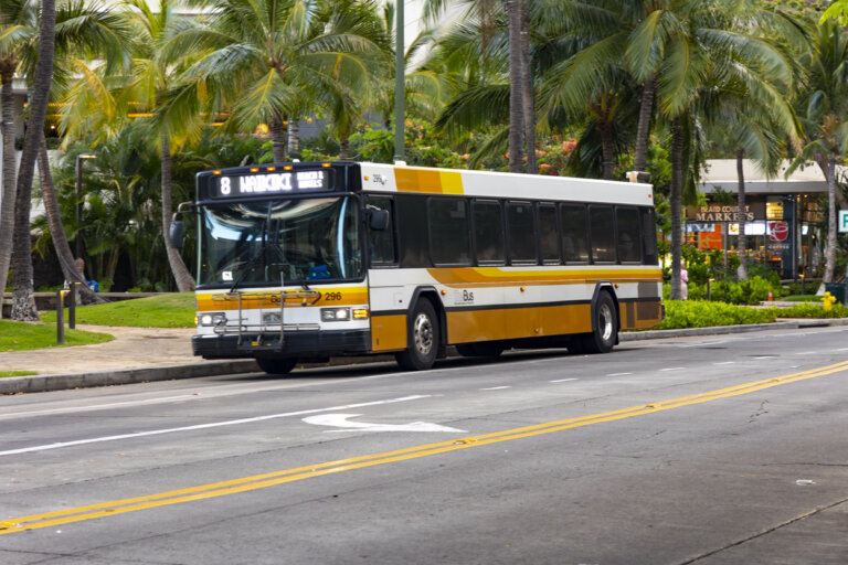 Honolulu's TheBus is Increasing Fares Jeffsetter Travel