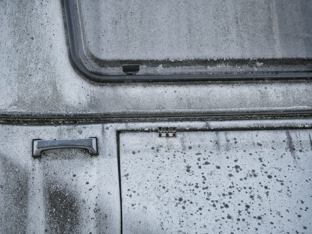 how to get rid of mold in an rv