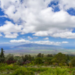 Maui Needs Help